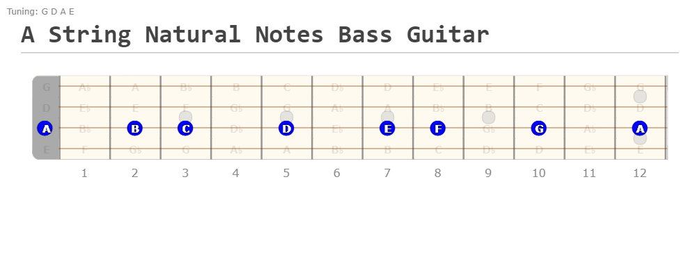 A String Natural Notes Bass Guitar