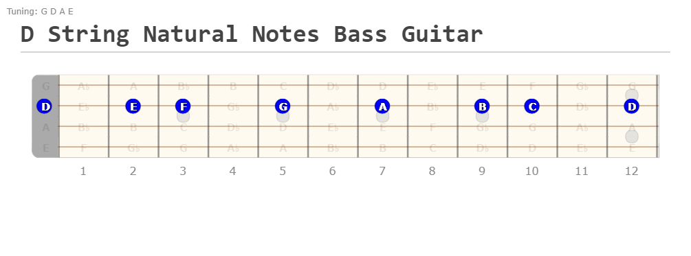 bass-notes-on-neck-easily-learn-the-fretboard-playelectricbass