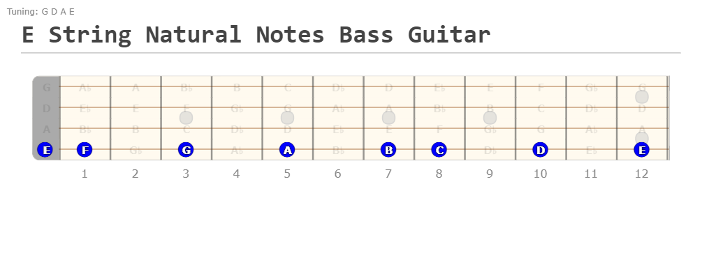 Bass Notes On Neck 