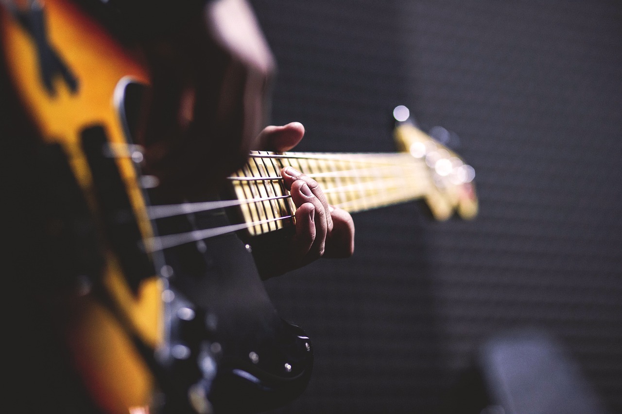 bass guitar, chord, close up-1841186.jpg