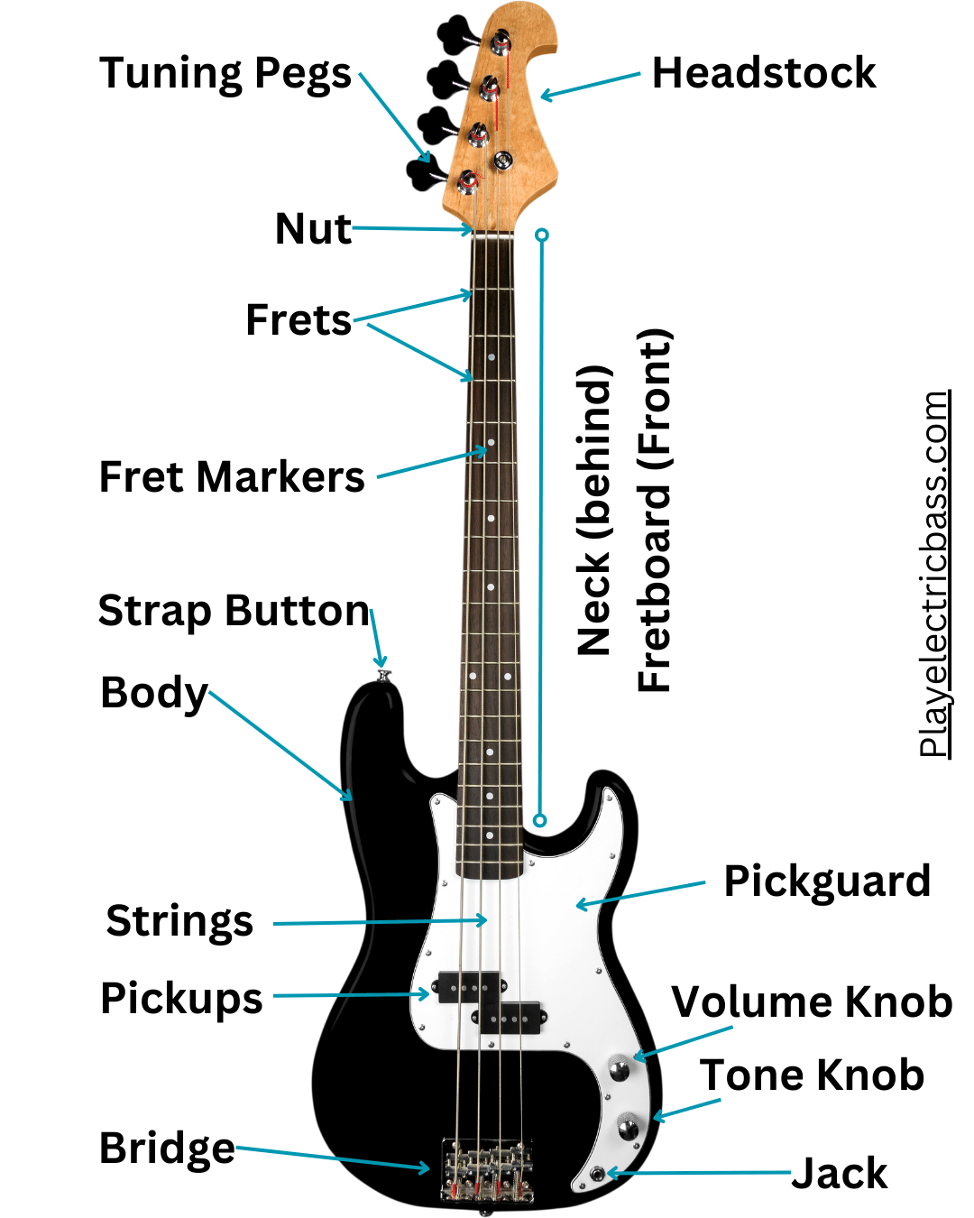 What Are The Parts of A Bass Guitar? (16-Part Diagram and Anatomy ...