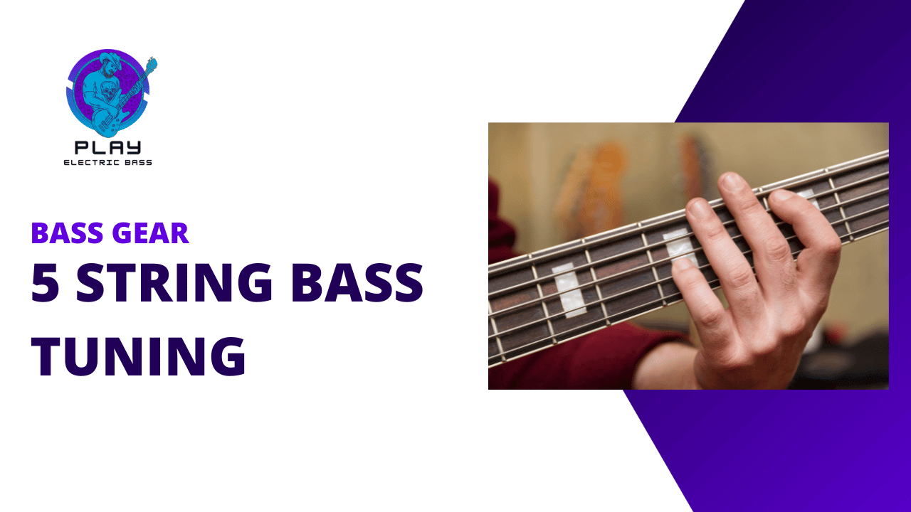 5 String Bass Tuning What You Need to Know playelectricbass