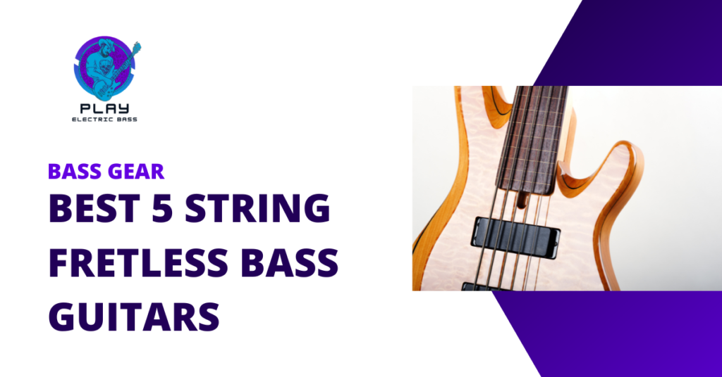 Best 5 string fretless bass guitars