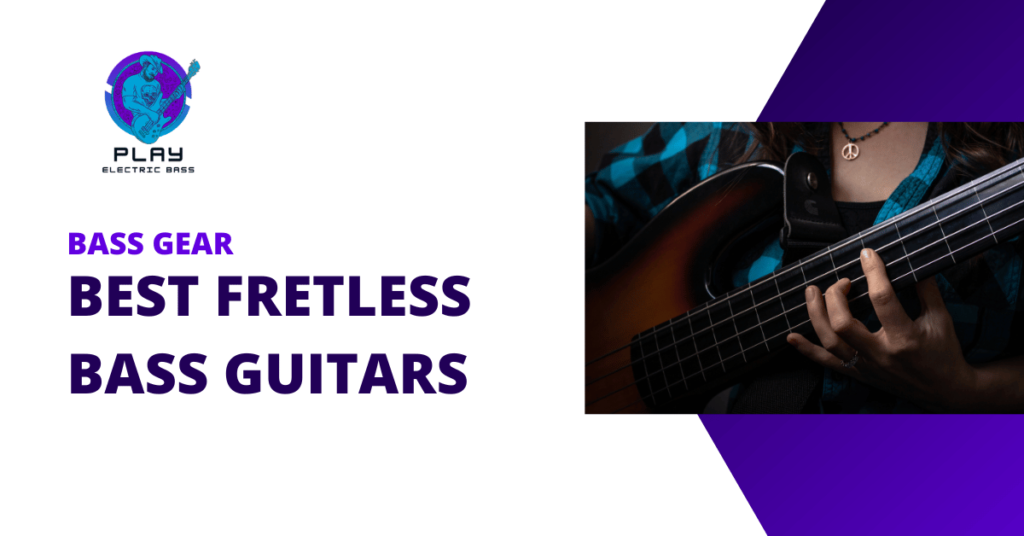 Best Fretless Bass Guitars