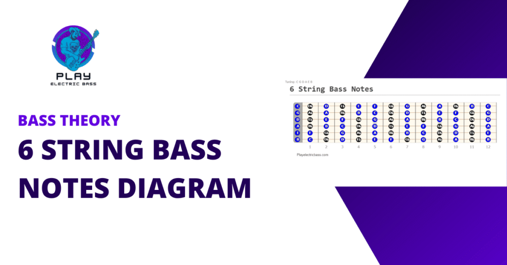 6 String Bass Notes Featured Image